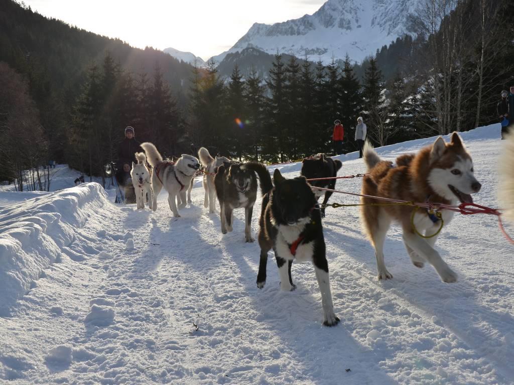 1. Balade en Traîneau 30 minutes (Enfant  de 3 à 5 ans) - BAUGES MARGERIAZ