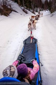 Dog Sledding 30 minutes - BAUGES MARGERIAZ