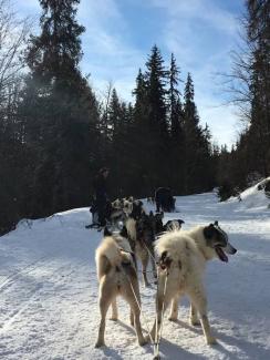 1. Dog Sledding 30 minutes (Children 3 to 5 years) - BAUGES MARGERIAZ