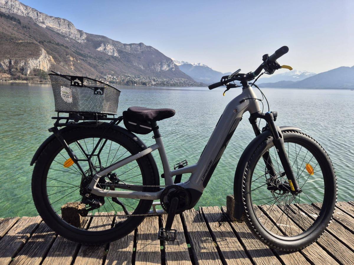 1. E-bike Rental