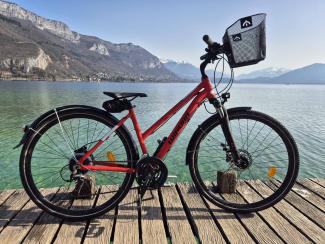1.2. VTC Rental - Full Day