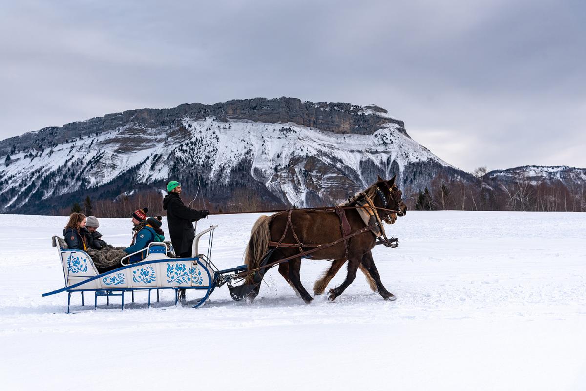 Horses Sleigh Ride 5 places - LA FECLAZ