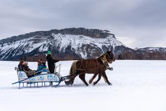 Horses Sleigh Ride 5 places - LA FECLAZ