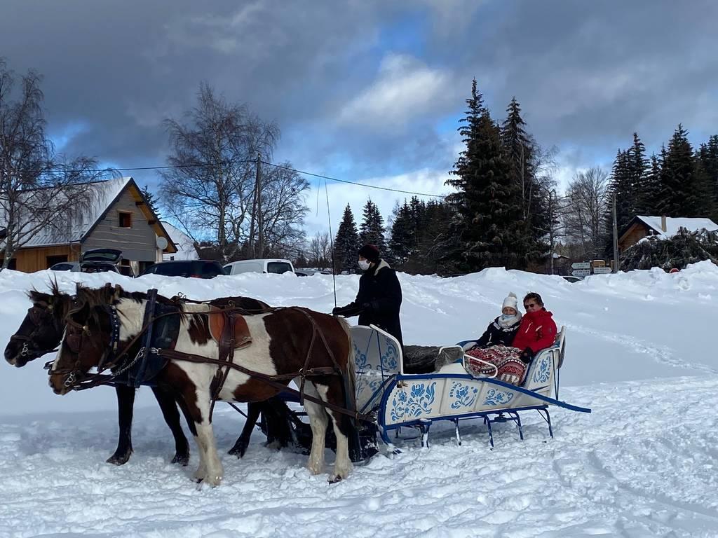 5. Horses Sleigh Ride 3 places - LA FECLAZ