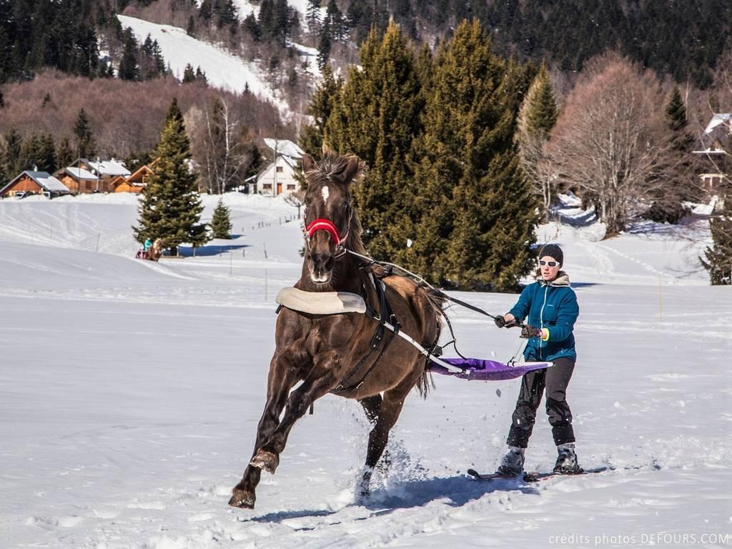 1. Initiation Ski Joering 45 minutes - LA FECLAZ