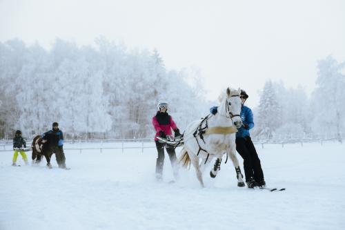 Ski-Joëring à La Féclaz : L’Aventure Équestre qui Réinvente la Glisse !