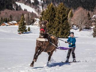 Ski Joering - Skiing towed by a horse