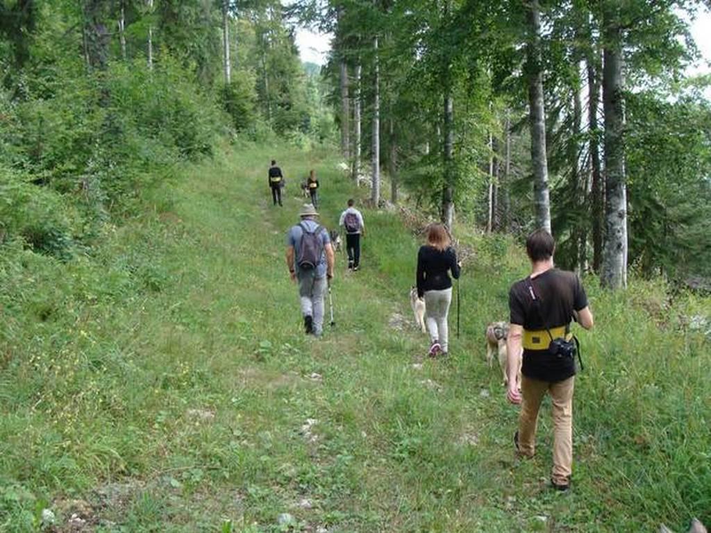 Cani-Rando 2 heures - BAUGES MARGERIAZ
