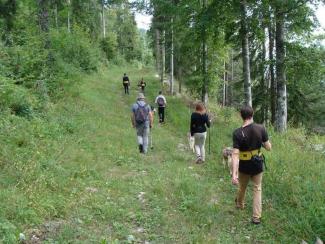 Cani-Rando 2 heures - BAUGES MARGERIAZ