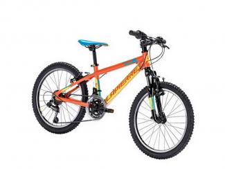 7. Rental of a 20' inches child's bike - Half Day