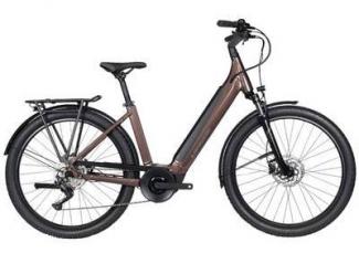 2. e-Bike City Bike Rental