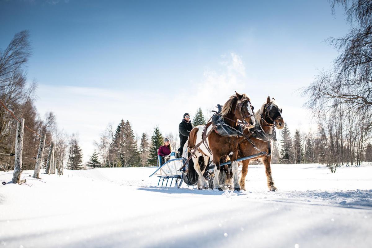 5. Horses Sleigh Ride 3 places - LA FECLAZ