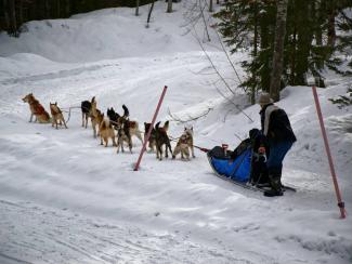 Balade en Traineau 25 minutes (Adulte) - LA CLUSAZ GIETTAZ