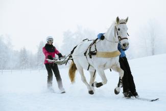 Initiation Ski Joering 45 minutes - LA FECLAZ